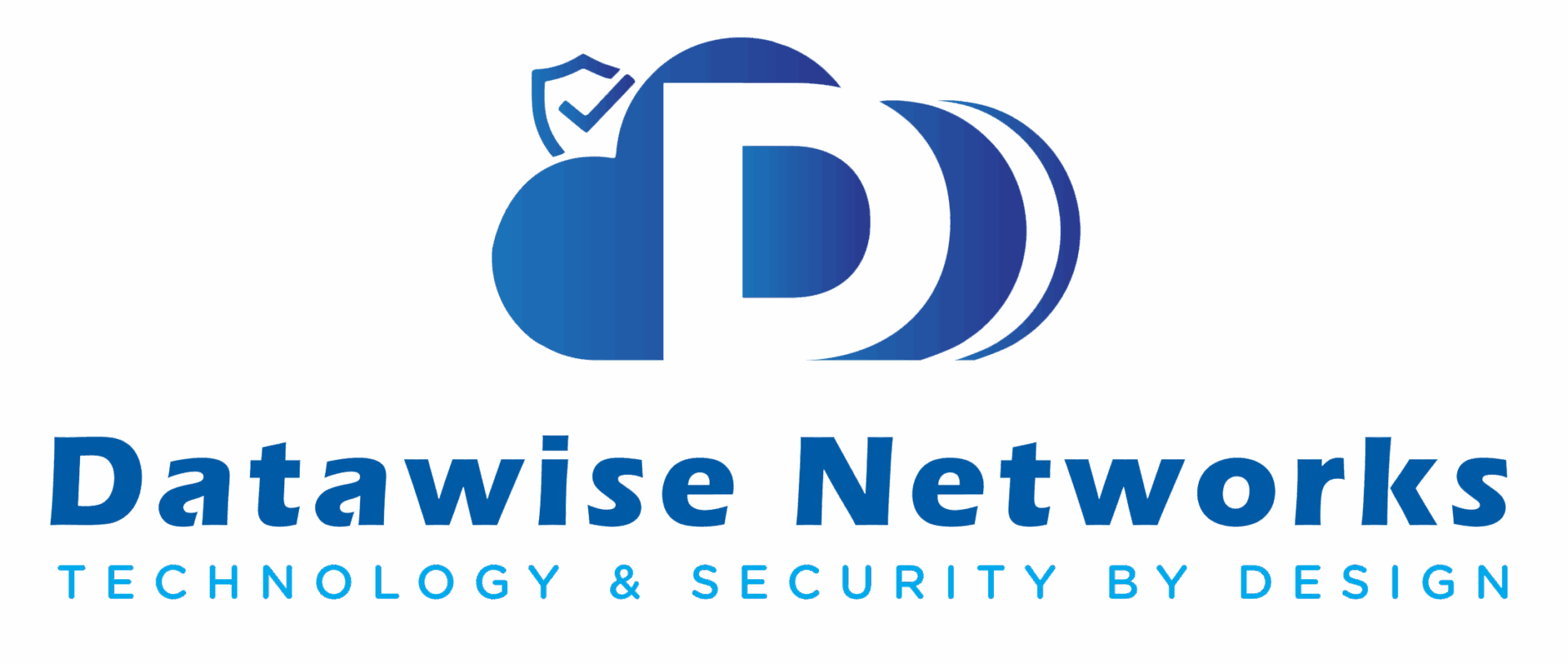 Datawise Networks logo
